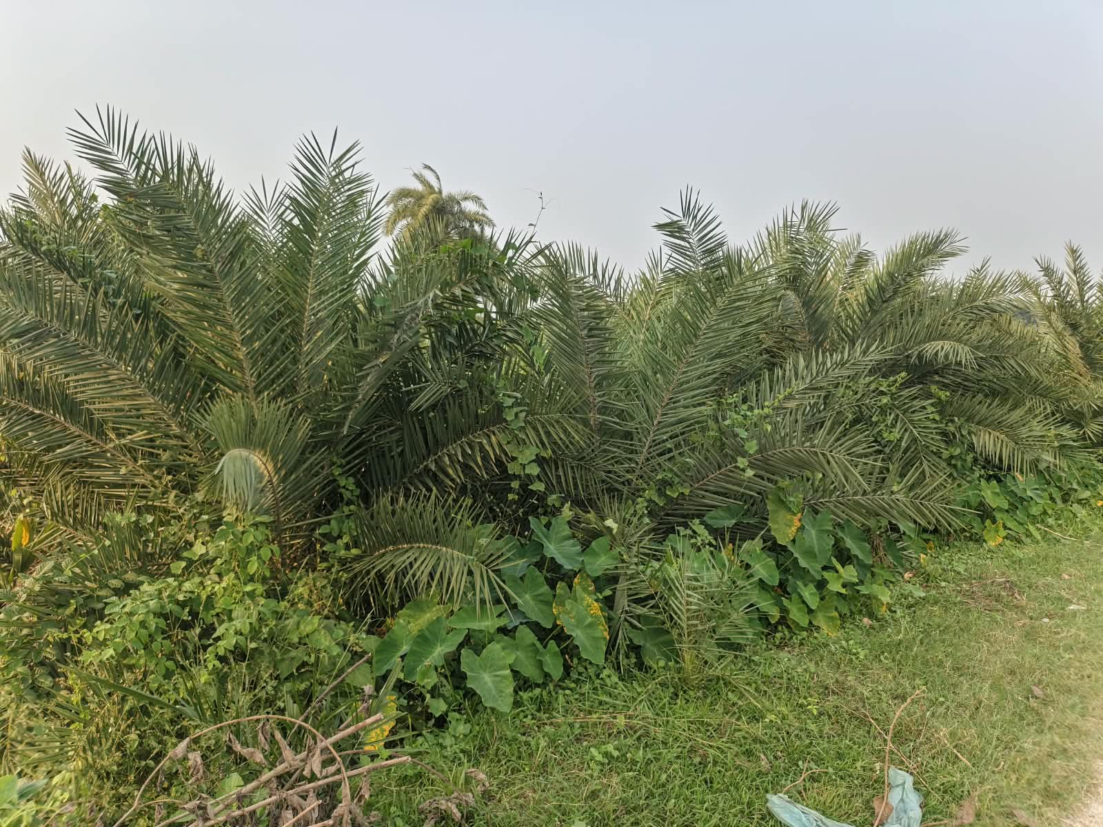 img 20261016 wa0178
