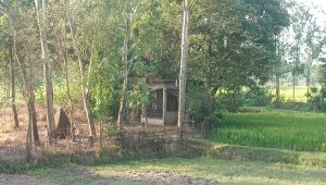 img 20261020 wa0072