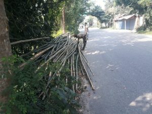 img 20261021 wa0095