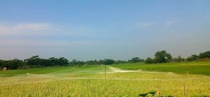 img 20261027 wa0301